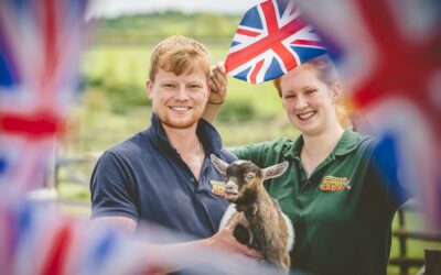 Farm attraction names baby goat ‘Lizzie’ to mark the Queen’s Platinum Jubilee